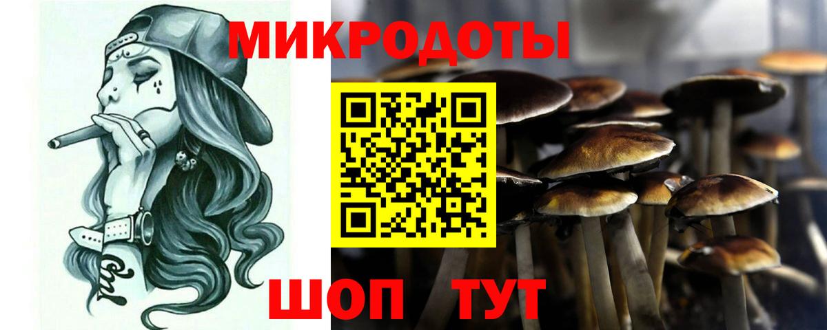 Псилоцибиновые грибы Psilocybe  Галлюциногенные грибы Psilocybe  Вход с VPN  Выкса 